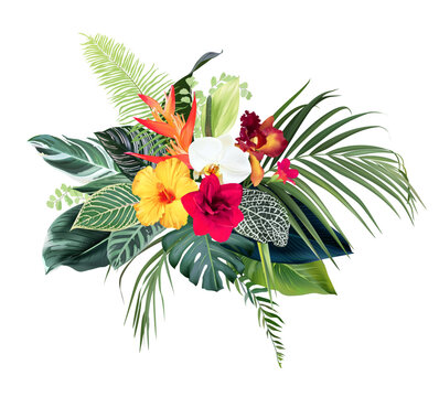 Exotic tropical flowers, orchid, strelitzia, hibiscus, anthurium, palm, monstera, calathea leaves