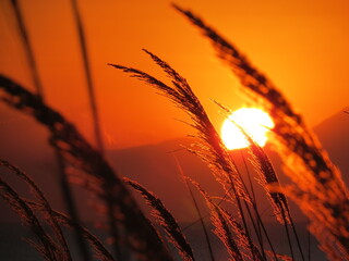Das Ende des Tages kann auch sch&ouml;n sein 