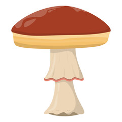 Amanita mushroom. Organic mushrooms. Truffle brown cap. Forest wild mushrooms types. Colorful PNG illustration.