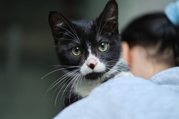 Female volunteer holding a stray cat in her arms. Kyiv, Ukraine. High quality photo © boytsov