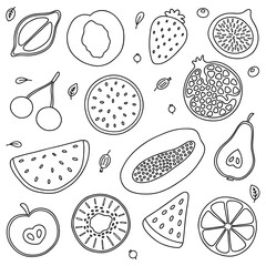 Vector fruits big outline set. Farm product for restaurant menu, market label. Strawberry, pomegranate, watermelon and etc.