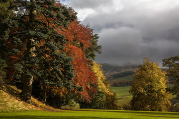 Fototapeta premium Autumn colour and a view over the Moorfoot Hills from the grounds of Barony Castle, Eddleston, Scottish Borders, UK