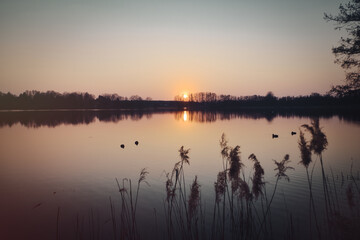 See im Abendrot mit Vögel - Sunset - Landscape - Beautiful sunset scene over the lake and silhouette hills in the background - Sunrise over sea - 