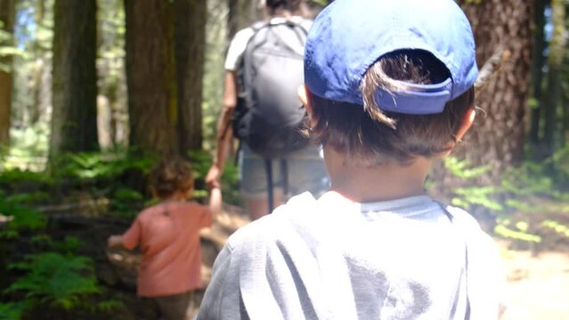 Family mother with children 2 and 5 years old walking in Yosemite National Park California redwoods sequoia USA healthy lifestyle summer vacations natural environment