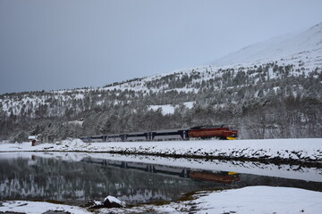 Polar-Express (Nordnorwegen)
