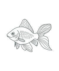 illustration of a fish line art on white