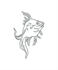 illustration of a fish line art on white