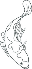 illustration of a fish line art on white
