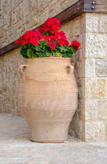 Red geranium in a big ceramic pot as exterior decoration