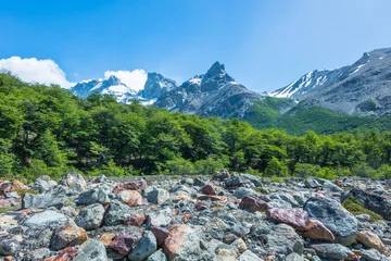 Photo sur Plexiglas Fitz Roy Landscape of Argentine Patagonia from the trail to Cerro Torre (Torre Mountain) - El Chaltén, Argentina