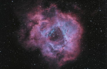 NGC2244 Rosette Nebula 2023