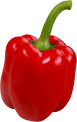 Bell pepper