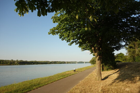 Donauradweg bei Tulln (N&Ouml;)