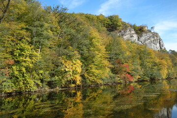 Fototapeta na wymiar Herbstliches Thaya-Ufer in Hardegg