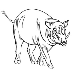 Fototapeta premium Line drawing at the zoo of babirusa pig 