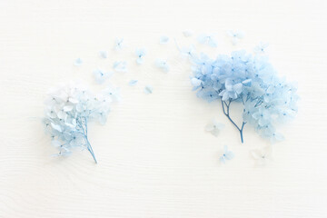 Top view image of blue Hydrangea flowers over white wooden background .Flat lay