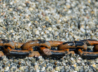 rusty metal anchor chain on coast pebble stones 