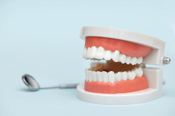Model of teeth and dental instrument on blue background. Dantist consept. Oral hygien.