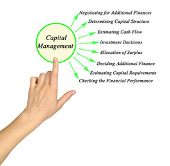 Eight  functions of Capital management