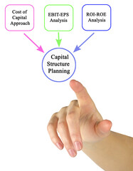  Inputs to Capital Structure Planning