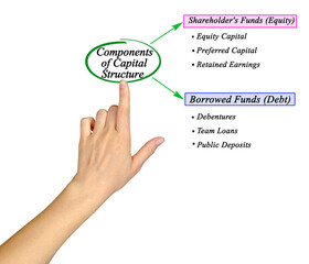 Six Components of Capital Structure