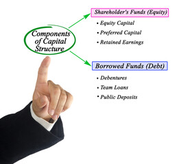 Six Components of Capital Structure