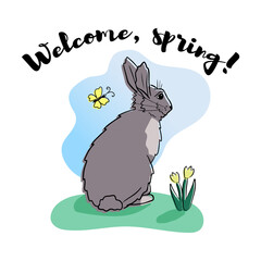 Shy grey hand drawn cartoon rabbit with tulips