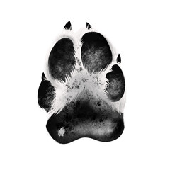 Dog Paw Illustration, textured dog paw © Simo