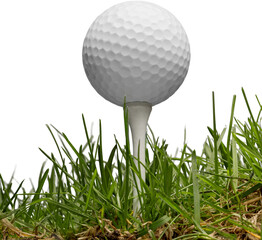 golf ball with a golf tee on a grass