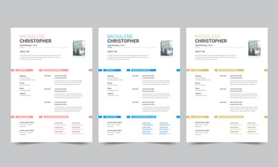 Fototapeta na wymiar Professional resume business layout, Creative cv template vector design