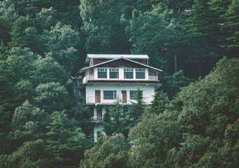 Fototapeta na wymiar Image of House in Hills between the trees