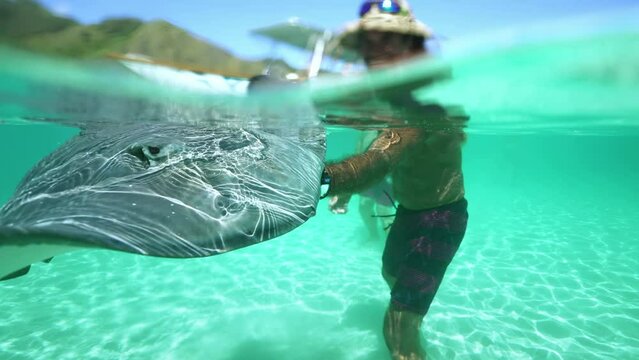 Underwater Tahiti. Tropical fish and sting ray swim next to snorkel tourist tour guide. Bora Bora, French Polynesia. exotic vacation activities, romantic getaway, exotic honeymoon destination.