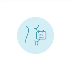 29 weeks pregnant icon. Twenty nine weeks of pregnancy illustration. Pregnant woman with calendar illustration. Seven months 