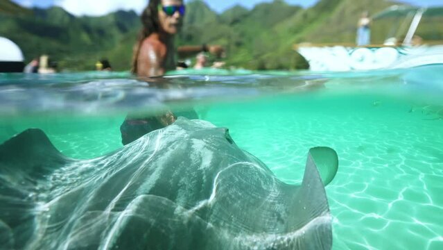 Underwater Tahiti. Traditional Polynesian man swims with sting ray. Bora Bora, French Polynesia. Exotic vacation activities, romantic getaway, honeymoon destination.