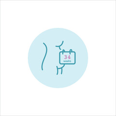34 weeks of pregnancy illustration. Thirty four pregnant vector icon. Pregnant mom with calendar linear illustration. Eight months, third trimester