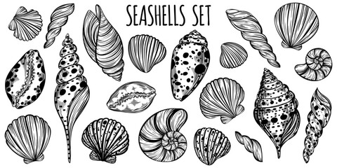 Seashells and mollusk marine sketch set for design of invitation, fabric, textile, etc.