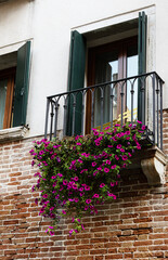 Fototapeta na wymiar selective focus on balcony decorated with blooming petunia flowers in pots