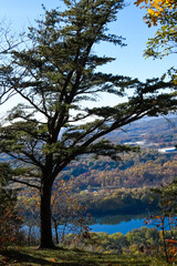 Fototapeta na wymiar autumn trees on lake