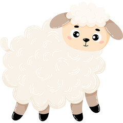 Cute  animal sheep