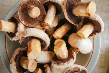 background of fresh whole mushrooms, closeup