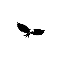 bird vector design for icon,symbol or logo. bird template logo 
