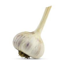 Garlic. Large head of garlic isolated on white background. Vegetable, harvest, seasoning, food, isolate. High quality photo