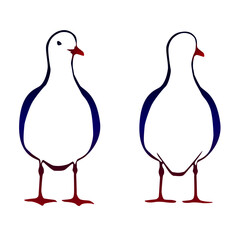 Seagull standing on the ground, front and back view. Simple isolated vector svg illustration.