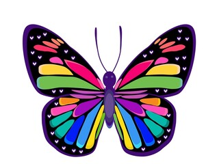 Multicolor butterfly vector illustration with rainbow colours