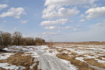 Spring walk through the forest