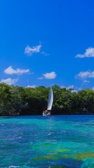 Fotografia de pequeño velero navegando en la laguna de Bacalar, con un manglar de fondo