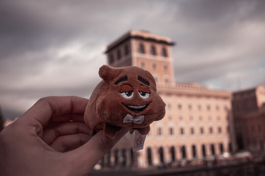 Poop in travel