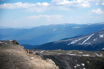 mount evans landscape in spring