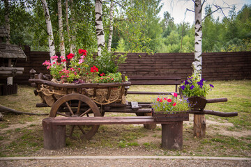 Fototapeta na wymiar wooden cart with wheels in the form of a flower bed