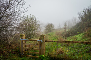 A Foggy Day in South England